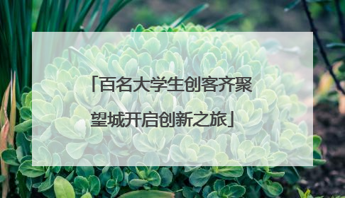 百名大学生创客齐聚望城开启创新之旅